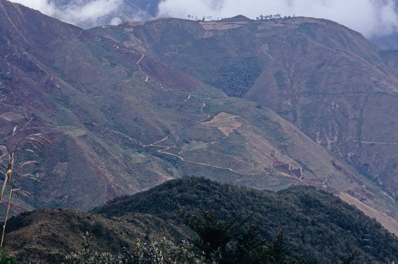 229-18.jpg - die strasse von leymebamba nach cajamarca ist eng und steil